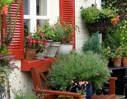 ��� �������� ���� ���������� ���?