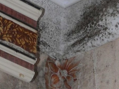 ��� ���������� �� ������� � ��������