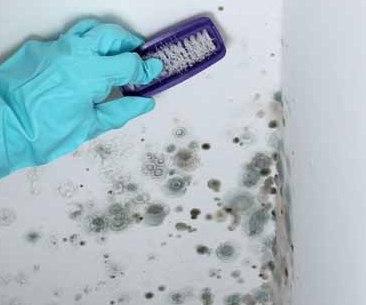 ��� ���������� �� ������� � ��������