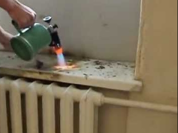 ��� ����� ������ � ������