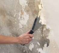 ��� ����� ������ � ������