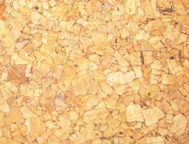 ���� �� ���������� ����