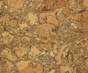 ���� �� ���������� ����