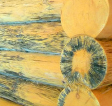 ���������� ����� ����������� ����