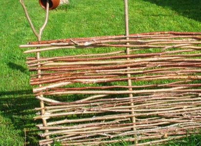 ����� ���������� ����� ������� �� ����?