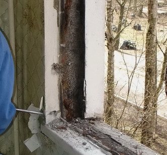 ��� ������������� � ������� ����� ����?