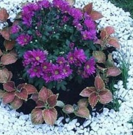 ���������� �������� ������