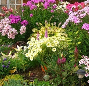 ���������� �������� ������