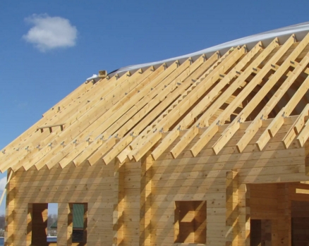 � ���� �������� �������������. ����� ������������� ����