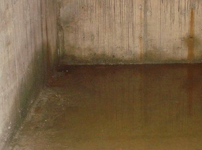 ���������� ����� � �������