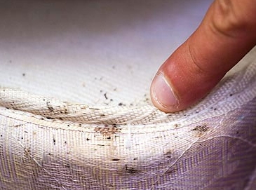 ��� ������, ���� �� ������� �����?