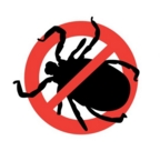 ���������: �����!