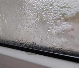 ��������� �� ����������� �����. ��� �� ���� ����������?