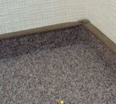 ������� ��������� ������ ������