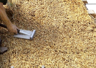 ����������� ���������� ����