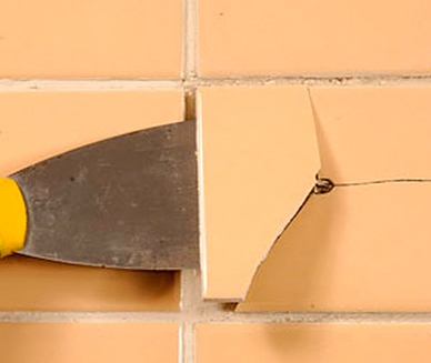 ��� ����� ������ �� ����