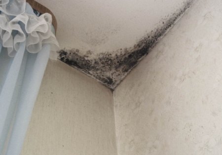 ��� ���������� �� ����� �� �������