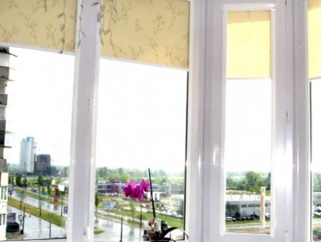 ����������� ���� salamander