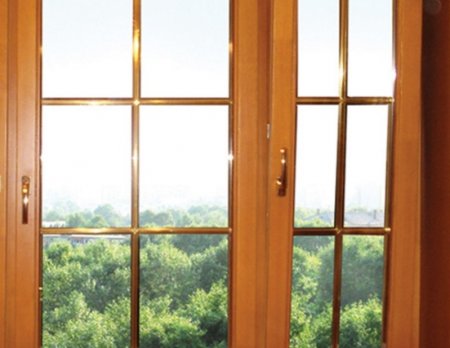 ����� � ���� �� ������ - ������ �������������