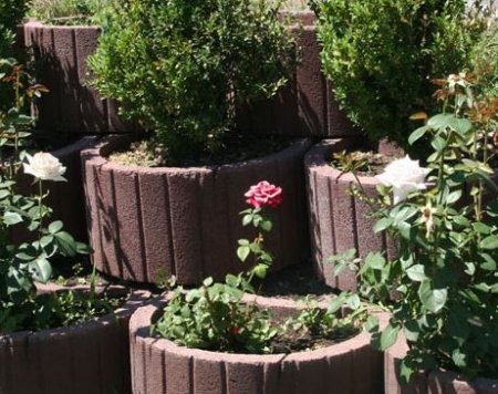 ���������� ������ ������