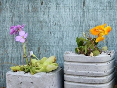 ���������� ������ ������