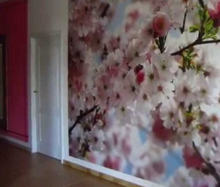 ��� ������ ��������