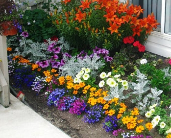 ������ �� ������ �������