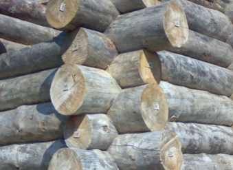 ����� Kelo