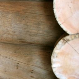 ����� Kelo