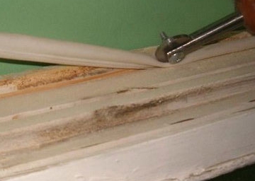 ������ ���������� ����