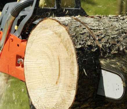 ��� ��������� ������� �����������