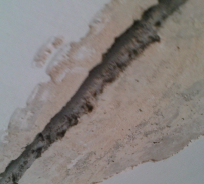 ��� �������� ���� �� �������