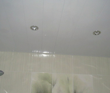 ������������ ����������� �������