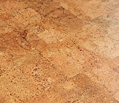 ������������ � ���������� ���������� ����