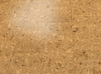 ������������ � ���������� ���������� ����