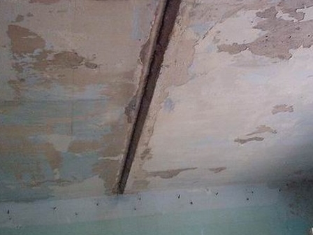 ��� ��������� �������