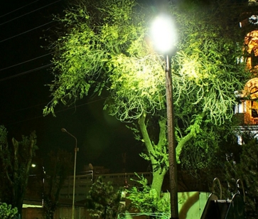 ��� ������� ������������ ������� �����