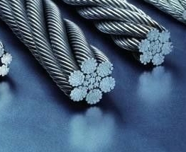 ������������� ������������ �������� ������