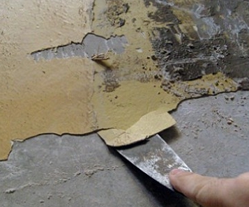 ���������� ����������� � ������� �������� ��������