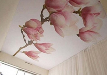 �������� �������� �������. ����������� �� ��������