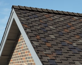 �������� ��������