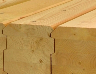 ���� ����� ��� ������������� ����