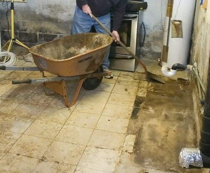 ������ �����. ����������, ������������