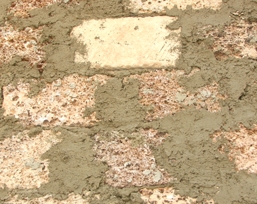 ����� ������������� �����: ������ ��� ����������?