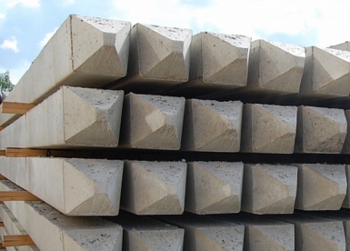 �������� ����