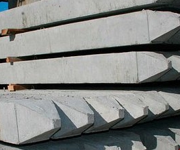 �������� ����