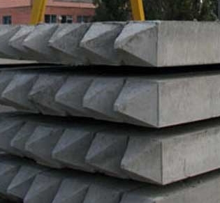 �������� ����