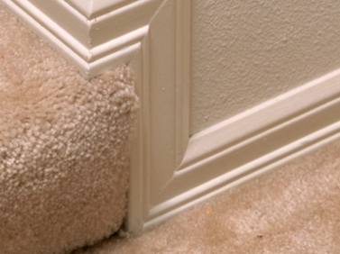 ���� ��������� ���������