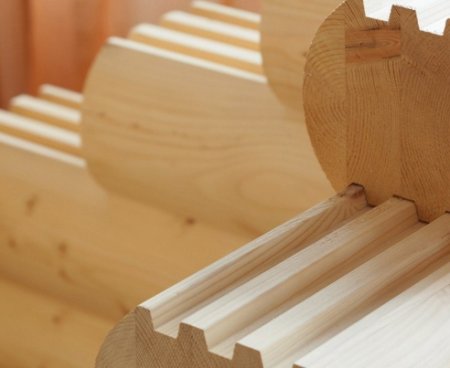 ���� ����� ��� ������������� ����