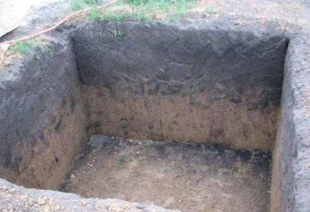 ������� ��� ��� �������